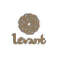 Levant Group London logo - Similar company to Smart Online Development