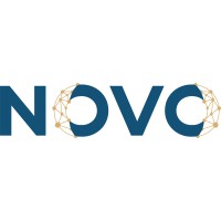 Novo Consulting logo - Similar company to Place Real Estate Team - Oakwyn Realty