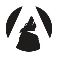 AlphaSync logo - Similar company to 2 Steps Solutions