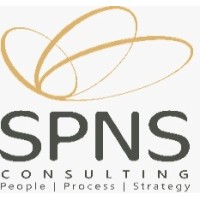 SPNS Consulting logo - Similar company to Sofix Consulting