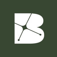 Belingbak logo - Similar company to Go Capital Australia