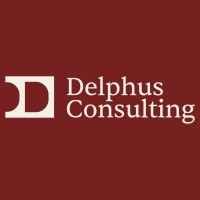 Delphus Consulting logo - Similar company to Plexus Consultores