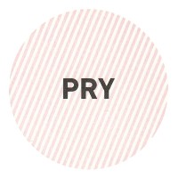PRY Collective logo - Similar company to Pry Creative Co.