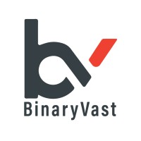 BinaryVast logo - Similar company to Digital Solutions Planet