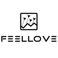 Feellove Capital logo - Similar company to Envisionx