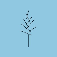TIMBERlab logo - Similar company to Buco Import Bv Ecobam Bamboe Thermo Supreme Bamboo