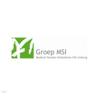 Groep MSI logo - Similar company to Touché Experience