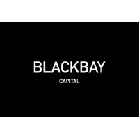 BlackBay Capital logo - Similar company to Black Bay Partners