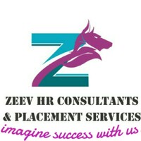 Zeev Hr Consultants & Placement Services logo - Similar company to Riyanshi Placement Services