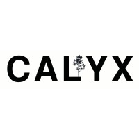 Calyx Design Group | Landscape Architecture logo - Similar company to Craftwell Architecture + Construction