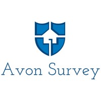 Avon Survey Ltd. logo - Similar company to Axon It Consulting