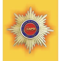 CAPSI - Central Association of Private Security Industry logo - Similar company to Flexiprops Tech Private Limited