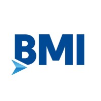 Buzmavi International Logistics China logo - Similar company to Bmi Logistics Usa
