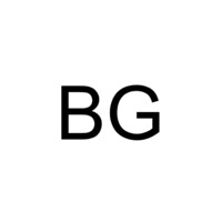 BG logo - Similar company to Terraneo