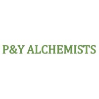 P&Y Alchemists logo - Similar company to Ilogicz Llc