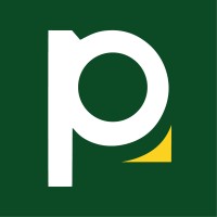 PaySa logo - Similar company to Nas Technologies