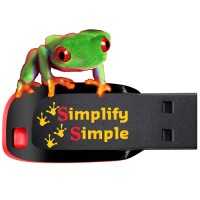 Simplify Simple Inc. Computer Repair, Web Design And Marketing