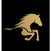 Stallion Enterprise logo - Similar company to Packaging Options Usa