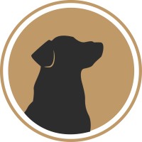 Koda Digital logo - Similar company to Flustr (Techstars 2023)