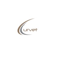 CURVET IT logo - Similar company to Shr Collective - Hotels & Restobars