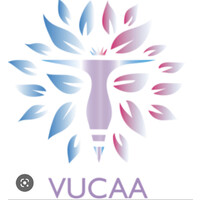 VUCAA recruitment & zzp bemiddeling logo - Similar company to Varius Netwerk