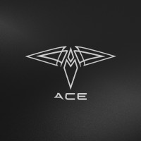 ACE logo - Similar company to Ufe Group Llc