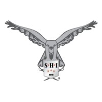 SabreHawk International, Inc. logo - Similar company to Si Global Partners