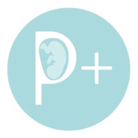 Parto Positivo Ltd logo - Similar company to Ufo - La Nebbia Che Ferma Il Ladro
