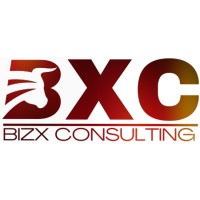 BizX Consulting, LLC logo - Similar company to Addingzeros Executive Development