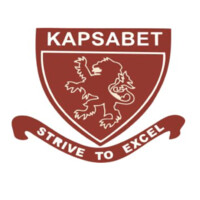Kapsabet High School logo - Similar company to Kapsabet High School