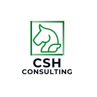 CSH Consultants, LLC. logo - Similar company to Recruiting Concepts