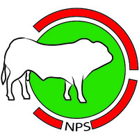Nederlands Piemontese Stamboek