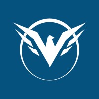Falcon Development logo - Similar company to Cognitive Branding
