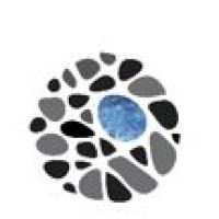 Omstone Asia Capital Nepal Pvt Ltd logo - Similar company to Ireaa India