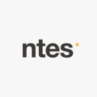 NTES logo - Similar company to It Systems Ltd