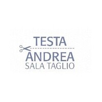 Testa Andrea - Sala Taglio per abbigliamento e tessuti tecnici logo - Similar company to Uber Ls Srl