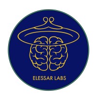 Elessar Labs logo - Similar company to Scaleforgood