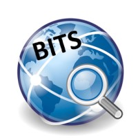 Basic Information Technology Services, Inc. logo - Similar company to Basic Tech