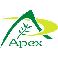 Apex International - India logo - Similar company to Bsr Overseas Llp