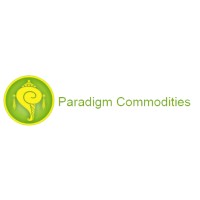 Paradigm Commodity Advisors Pvt Ltd logo - Similar company to Vikram University