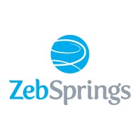ZebSprings logo - Similar company to Bilig Operational Excellence Consultants