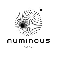 Numinous Capital logo - Similar company to Softconnect Doo