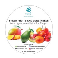 ingcorp fruits uganda logo - Similar company to Bk Monarch Commodities Limited.