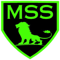 Modern Security Systems Ltd. logo - Similar company to Modern Security