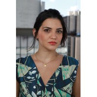 Giovanna Vanni - Advocacia E Consultoria Jurídica