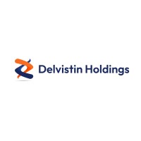 DELVISTIN HOLDINGS logo - Similar company to Omni Chit Chat