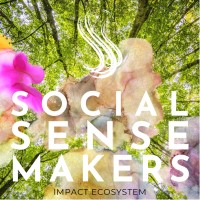 Social Sensemakers logo - Similar company to Sanispaces