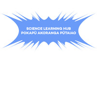 Science Learning Hub Pokapū Akoranga Pūtaiao logo - Similar company to Colgan Foundation