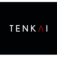 Tenkai logo - Similar company to Tenkai Computer Solutions