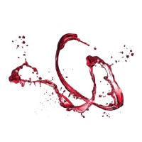 Boreas - The Art Of Wine Tasting